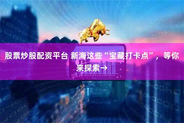股票炒股配资平台 新海这些“宝藏打卡点”,等你来探索→