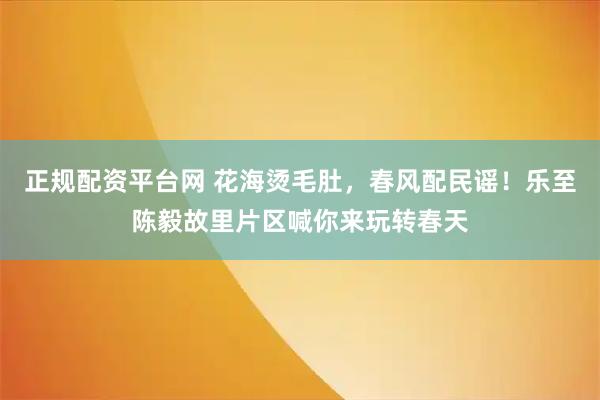 正规配资平台网 花海烫毛肚，春风配民谣！乐至陈毅故里片区喊你来玩转春天